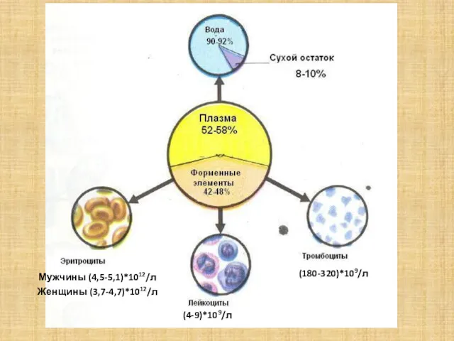 Мужчины (4,5-5,1)*1012/л Женщины (3,7-4,7)*1012/л (180-320)*109/л (4-9)*109/л