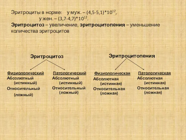 Эритроциты в норме: у муж. – (4,5-5,1)*1012, у жен. –