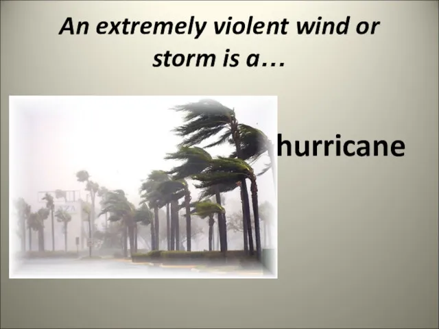 An extremely violent wind or storm is a… hurricane