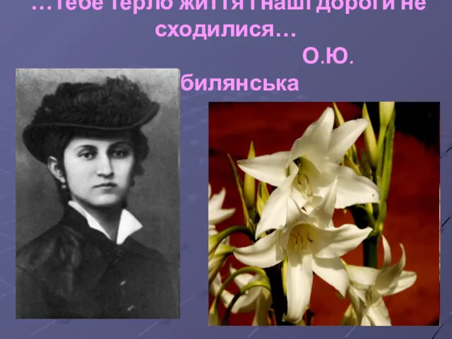 …Тебе терло життя і наші дороги не сходилися… О.Ю.Кобилянська