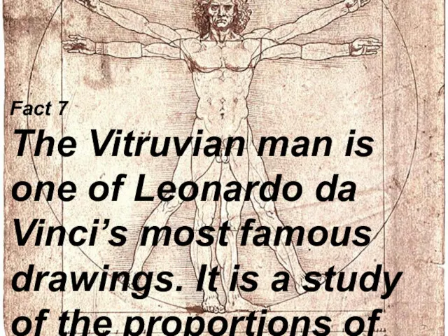 Fact 7 The Vitruvian man is one of Leonardo da