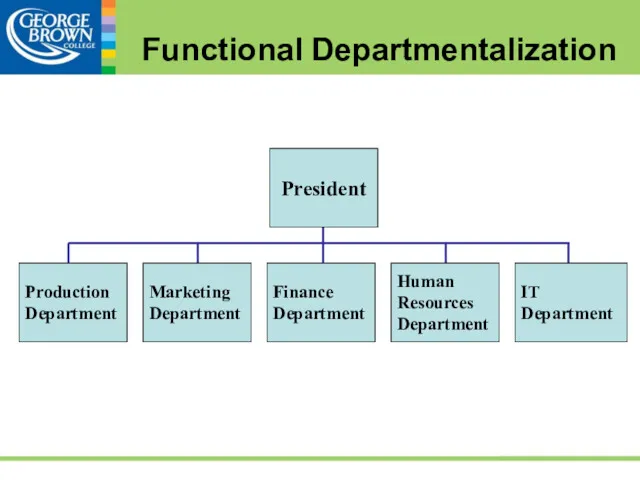 Functional Departmentalization