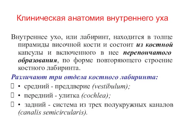 Клиническая анатомия внутреннего уха Внутреннее ухо, или лабиринт, находится в