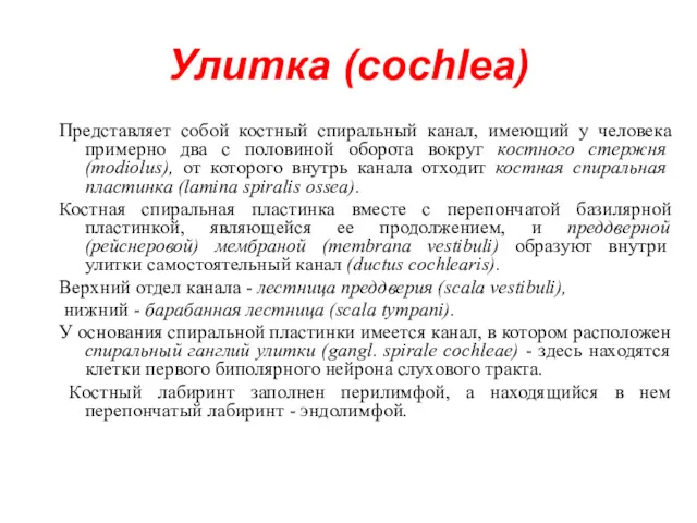 Улитка (cochlea) Представляет собой костный спиральный канал, имеющий у человека