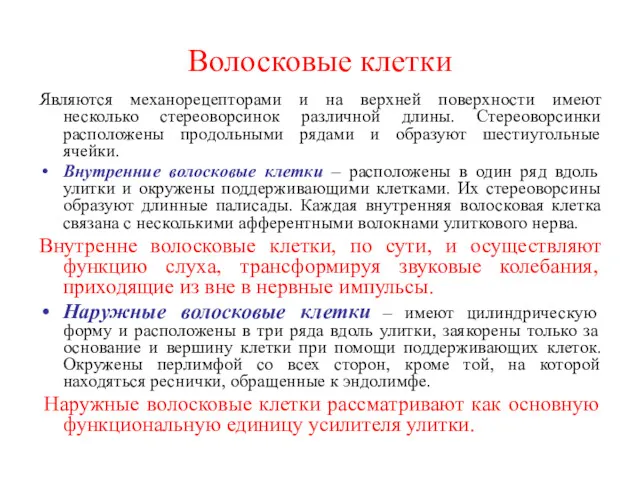 Волосковые клетки Являются механорецепторами и на верхней поверхности имеют несколько