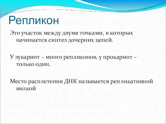 Репликон Это участок между двумя точками, в которых начинается синтез дочерних цепей. У