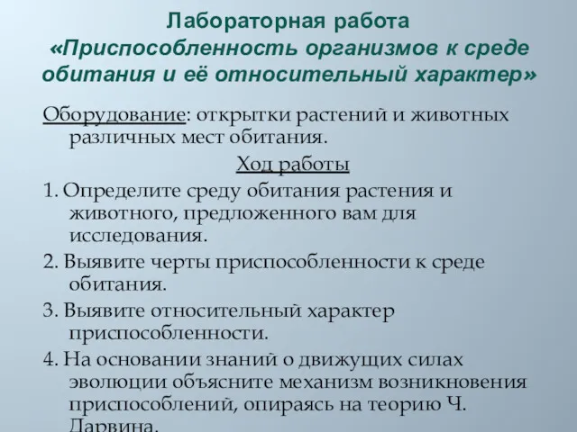 Лабораторная работа «Приспособленность организмов к среде обитания и её относительный