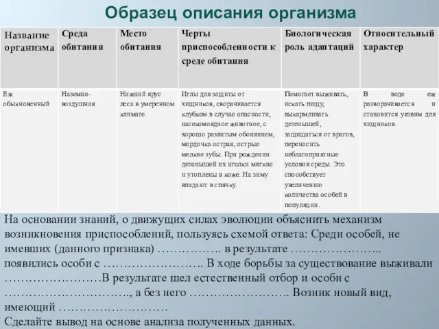 На основании знаний, о движущих силах эволюции объяснить механизм возникновения