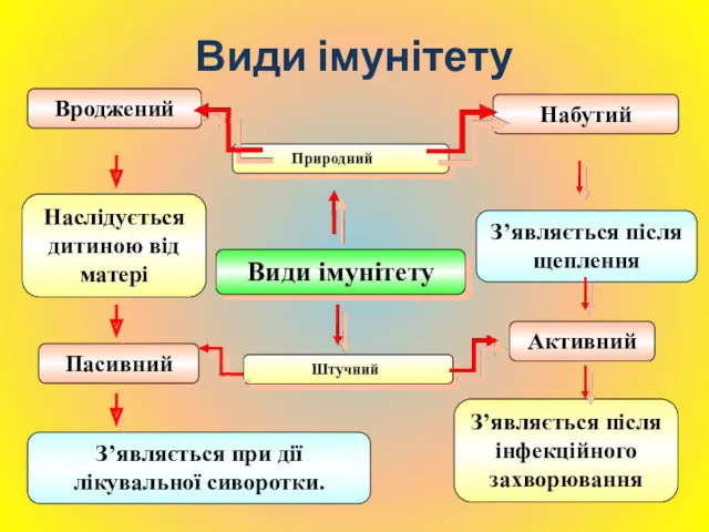 Пасивний З’являється при дії лікувальної сиворотки. З’являється після щеплення Набутий