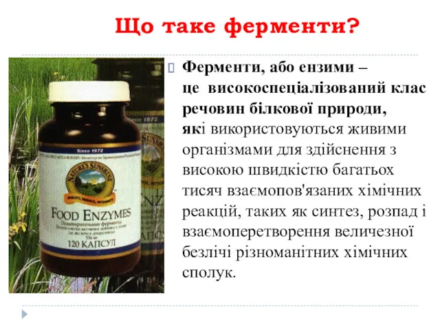 Що таке ферменти? Ферменти, або ензими – це високоспеціалізований клас