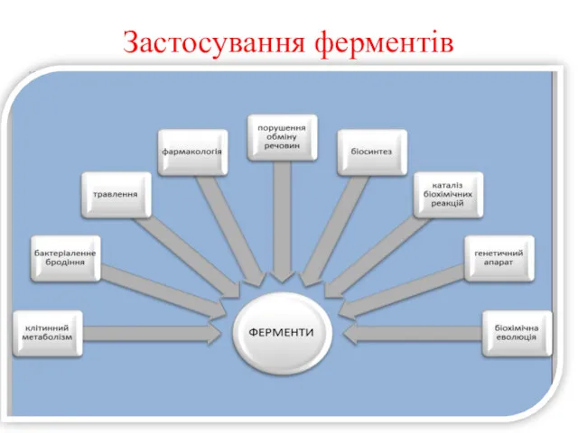 Застосування ферментів