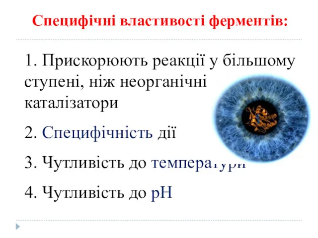 1. Прискорюють реакції у більшому ступені, ніж неорганічні каталізатори 2.