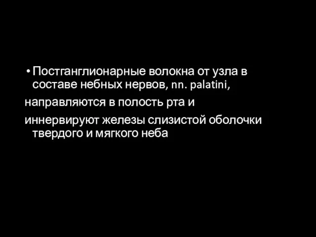 Постганглионарные волокна от узла в составе небных нервов, nn. palatini,