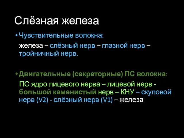 Слёзная железа Чувствительные волокна: железа – слёзный нерв – глазной