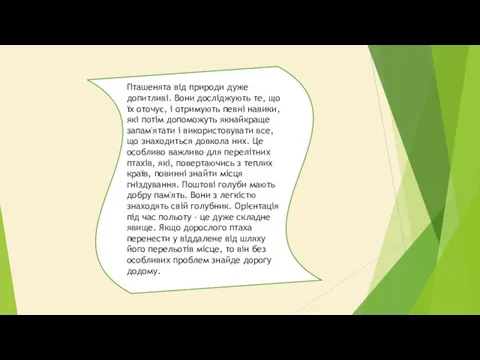 Пташенята від природи дуже допитливі. Вони досліджують те, що їх