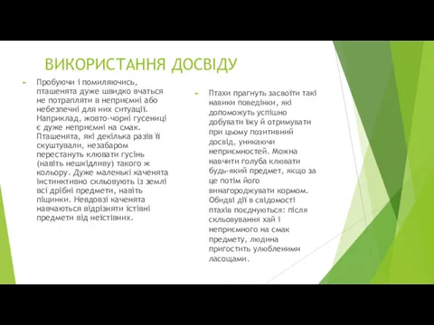 ВИКОРИСТАННЯ ДОСВІДУ Пробуючи і помиляючись, пташенята дуже швидко вчаться не