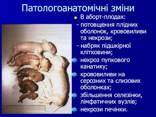 Патологоанатомічні зміни В аборт-плодах: - потовщення плідних оболонок, крововиливи та