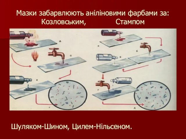 Мазки забарвлюють аніліновими фарбами за: Козловським, Стампом Шуляком-Шином, Цилем-Нільсеном.