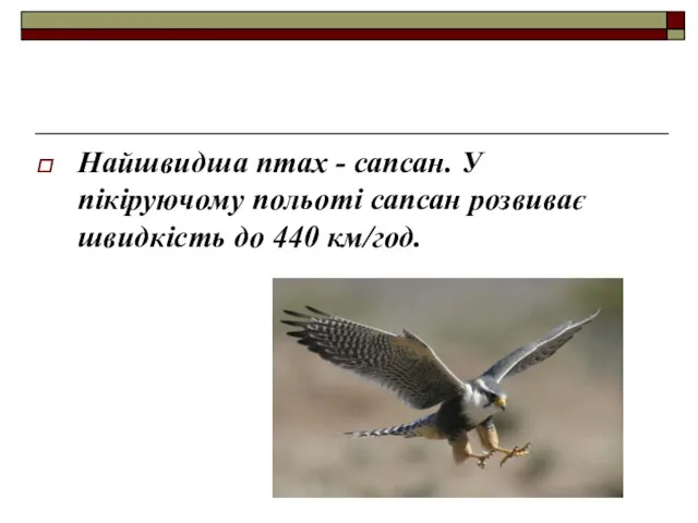 Найшвидша птах - сапсан. У пікіруючому польоті сапсан розвиває швидкість до 440 км/год.