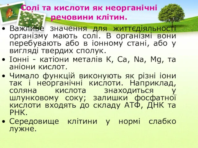 Важливе значення для життєдіяльності організму мають солі. В організмі вони