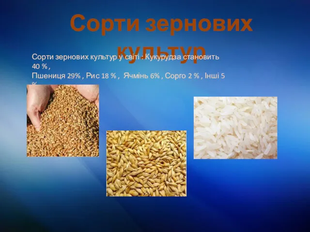 Сорти зернових культур Сорти зернових культур у світі : Кукурудза