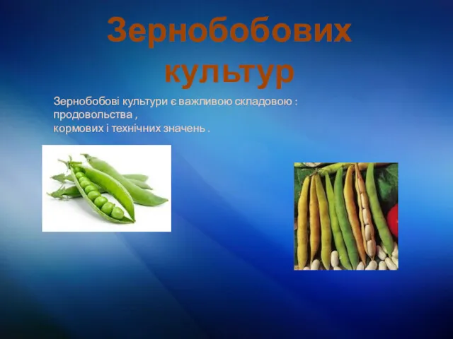 Зернобобових культур Зернобобові культури є важливою складовою : продовольства , кормових і технічних значень .