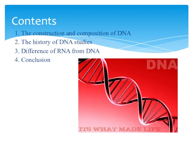 1. Тhe construction and composition of DNA 2. Тhe history
