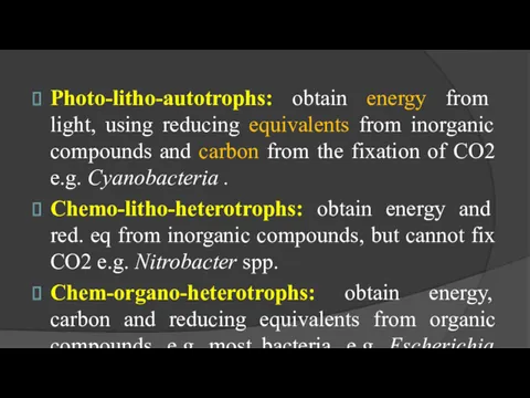 Photo-litho-autotrophs: obtain energy from light, using reducing equivalents from inorganic