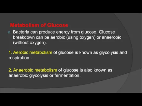 Metabolism of Glucose Bacteria can produce energy from glucose. Glucose