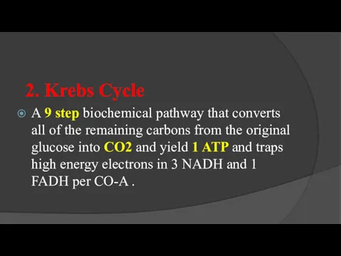 2. Krebs Cycle A 9 step biochemical pathway that converts