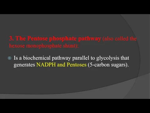 3. The Pentose phosphate pathway (also called the hexose monophosphate