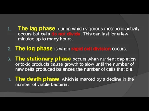 The lag phase, during which vigorous metabolic activity occurs but