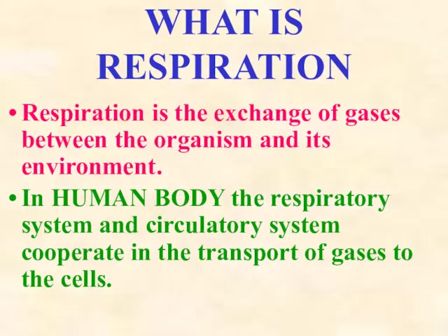 WHAT IS RESPIRATION Respiration is the exchange of gases between