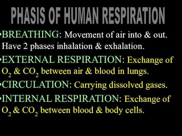 BREATHING: Movement of air into & out. Have 2 phases