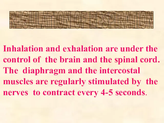 REGULATION OF RESPIRATION Inhalation and exhalation are under the control