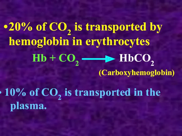 20% of CO2 is transported by hemoglobin in erythrocytes Hb