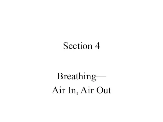Section 4 Breathing— Air In, Air Out