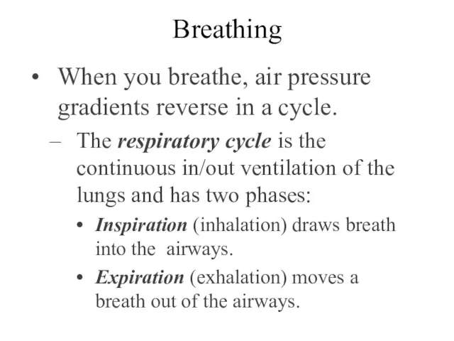 Breathing When you breathe, air pressure gradients reverse in a