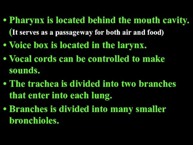 Pharynx is located behind the mouth cavity. (It serves as