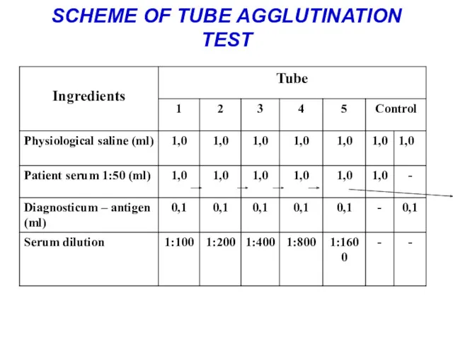 SCHEME OF TUBE AGGLUTINATION TEST