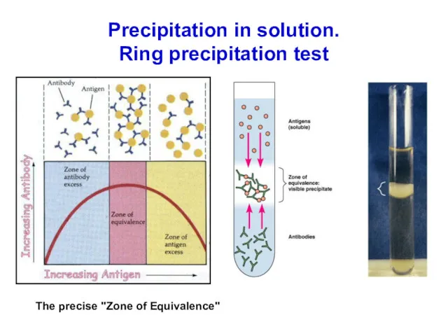 Precipitation in solution. Ring precipitation test The precise "Zone of Equivalence"