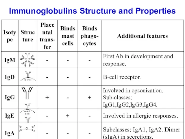 Immunoglobulins Structure and Properties