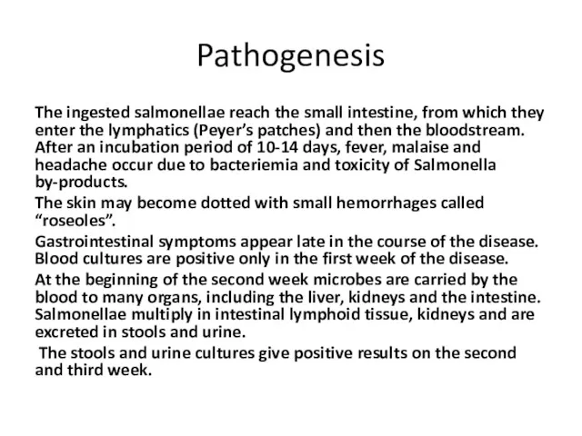 Pathogenesis The ingested salmonellae reach the small intestine, from which they enter the