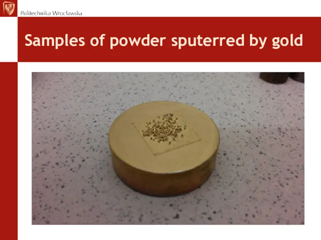 Samples of powder sputerred by gold