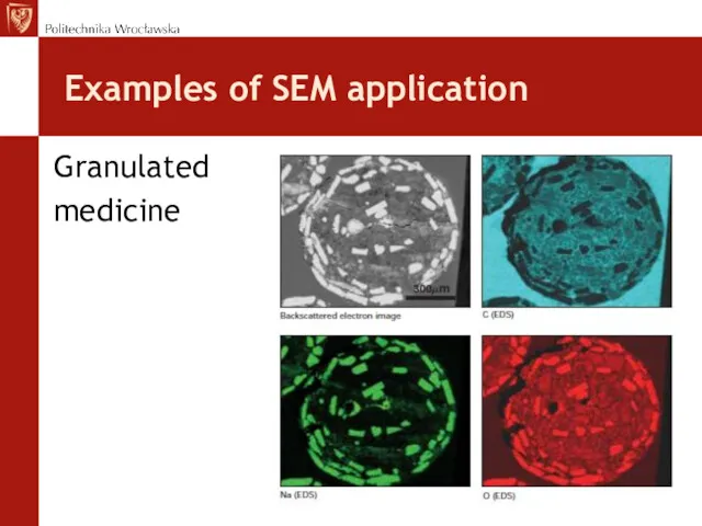Examples of SEM application Granulated medicine