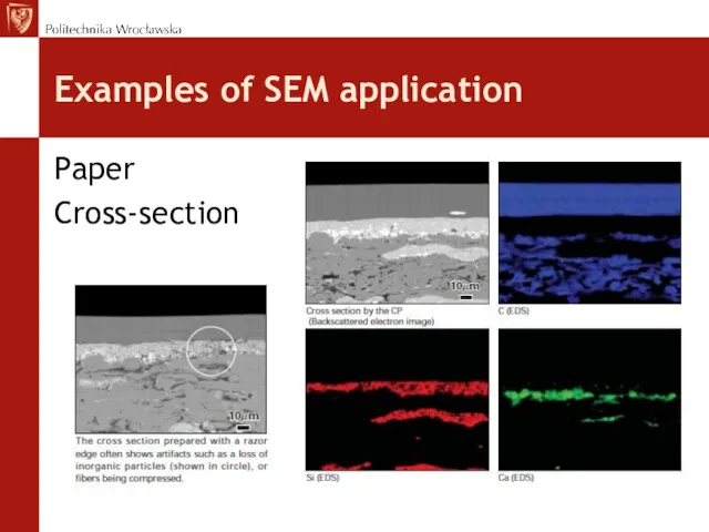 Examples of SEM application Paper Cross-section