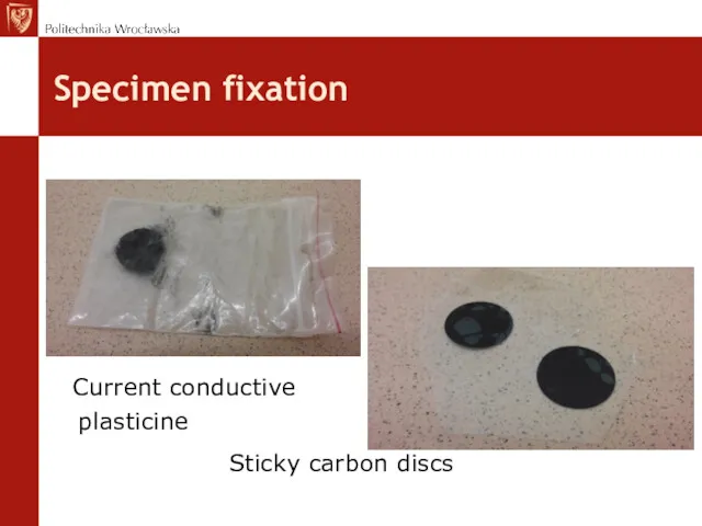 Specimen fixation Current conductive plasticine Sticky carbon discs