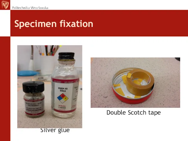 Specimen fixation Double Scotch tape Silver glue