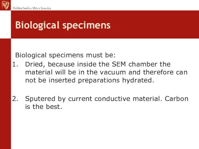 Biological specimens Biological specimens must be: Dried, because inside the SEM chamber the