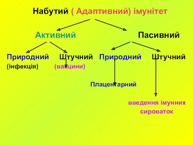 Набутий ( Адаптивний) імунітет Активний Пасивний Природний Штучний Природний Штучний (інфекція) (вакцини) Плацентарний введення імунних сироваток